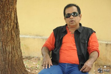 Brahmanandam About Alludu Seenu Movie